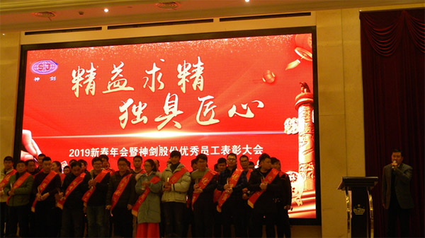 南宫NG28国际股份2019年度新春年会暨优秀员工表彰大会圆满召开